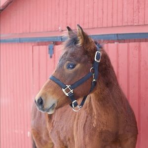 Meet your Posher, Kendra